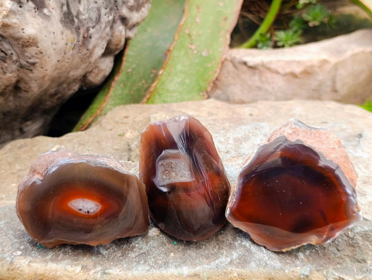 Polished One Side Red Shashe River Agate Nodules x 35 From Shashe River, Zimbabwe - Toprock Gemstones and Minerals 