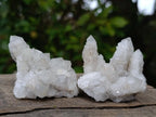 Natural White Fingered Spirit Quartz Crystals and Clusters x 35 From Boekenhouthoek, South Africa - Toprock Gemstones and Minerals 