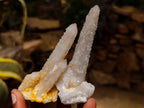 Natural White Fingered Spirit Quartz Crystals and Clusters x 35 From Boekenhouthoek, South Africa - Toprock Gemstones and Minerals 