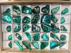 Polished Malacolla Free Forms x 35 From Kulukuluku, Congo - Toprock Gemstones and Minerals 