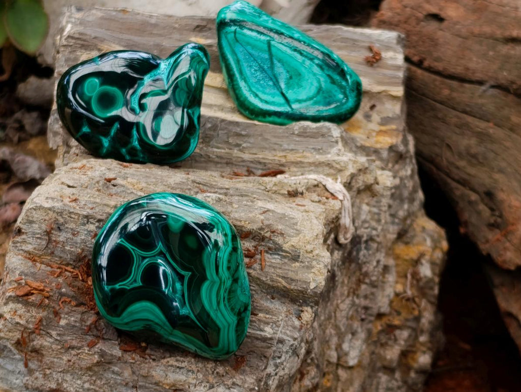 Polished Malacolla Free Forms x 35 From Kulukuluku, Congo - Toprock Gemstones and Minerals 