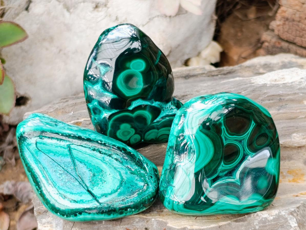 Polished Malacolla Free Forms x 35 From Kulukuluku, Congo - Toprock Gemstones and Minerals 