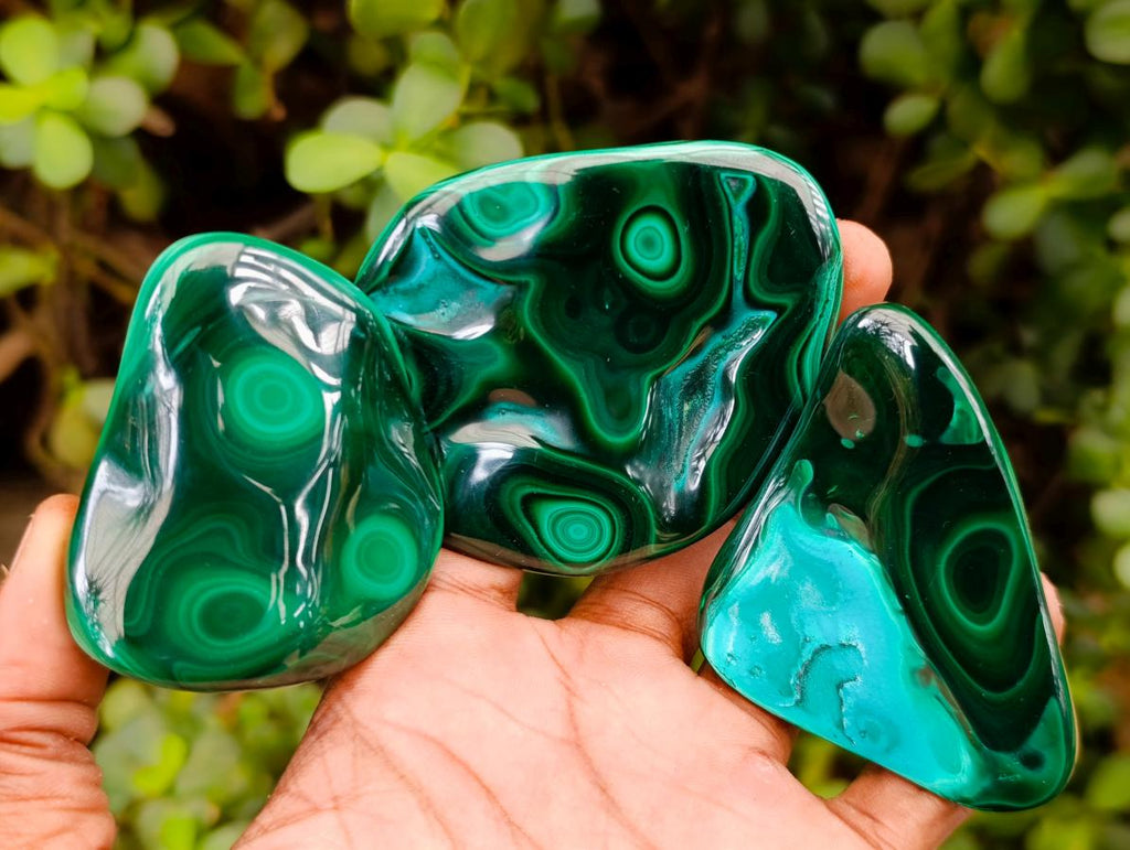 Polished Malacolla Free Forms x 35 From Kulukuluku, Congo - Toprock Gemstones and Minerals 