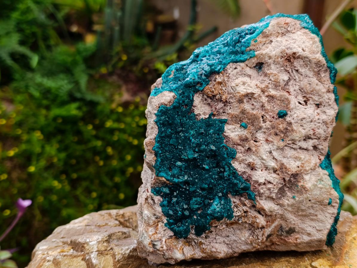 Natural Extra Large Dioptase on Dolomite Specimen x 1 From Likasi, Congo - Toprock Gemstones and Minerals 