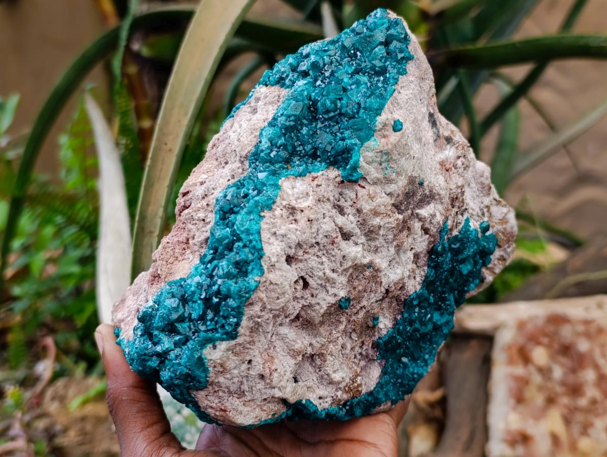Natural Extra Large Dioptase on Dolomite Specimen x 1 From Likasi, Congo - Toprock Gemstones and Minerals 