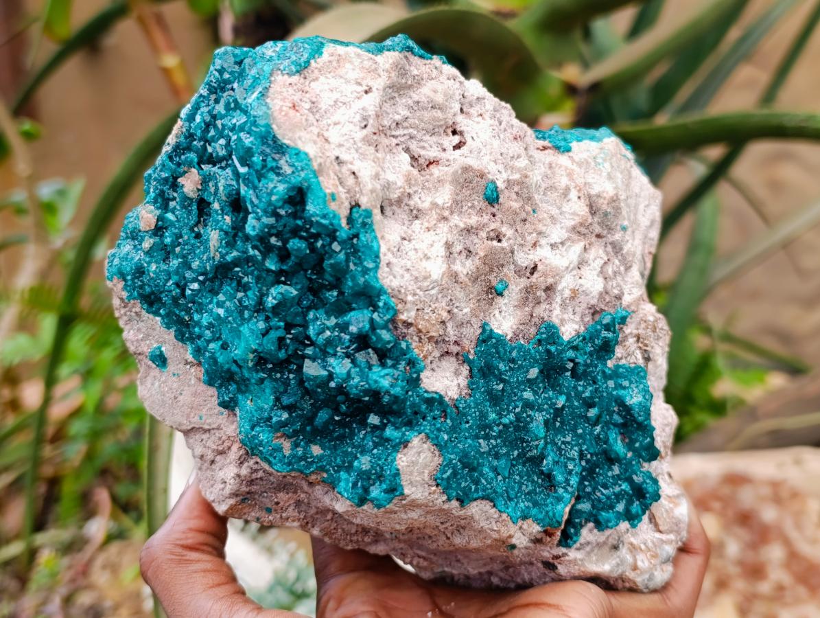 Natural Extra Large Dioptase on Dolomite Specimen x 1 From Likasi, Congo - Toprock Gemstones and Minerals 