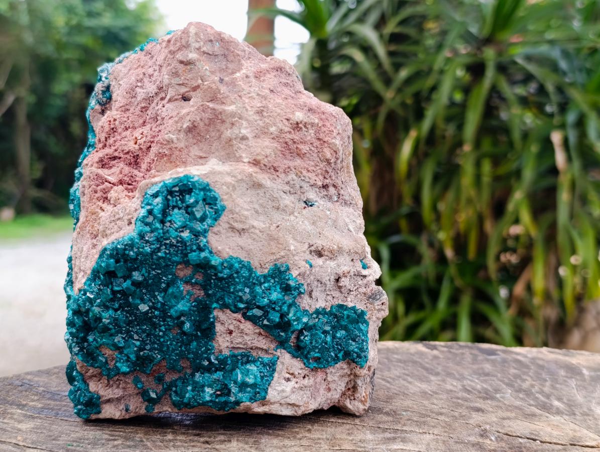 Natural Extra Large Dioptase on Dolomite Specimen x 1 From Likasi, Congo - Toprock Gemstones and Minerals 