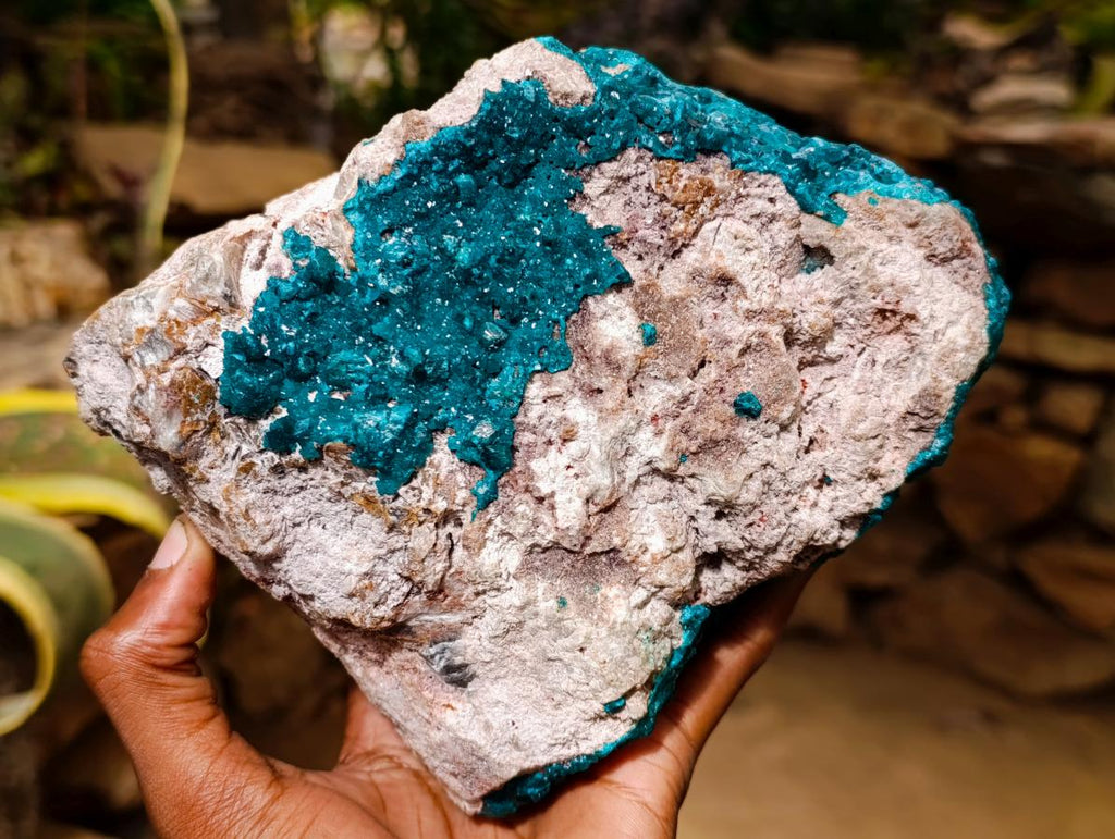 Natural Extra Large Dioptase on Dolomite Specimen x 1 From Likasi, Congo - Toprock Gemstones and Minerals 