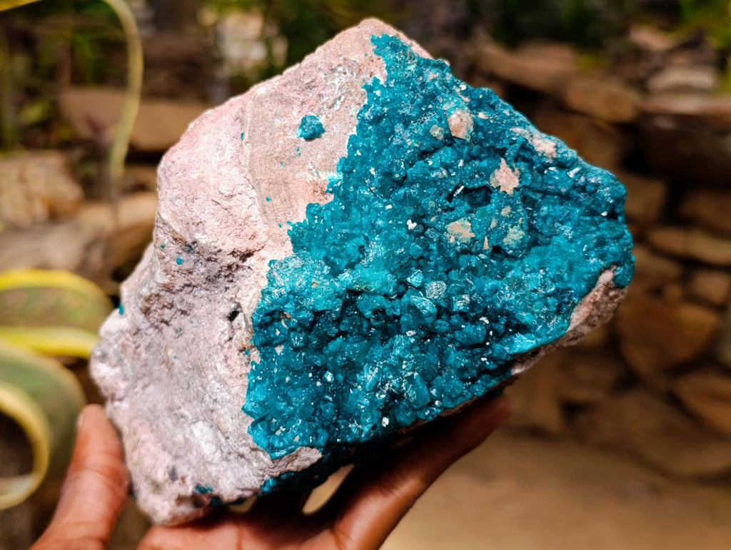 Natural Extra Large Dioptase on Dolomite Specimen x 1 From Likasi, Congo - Toprock Gemstones and Minerals 