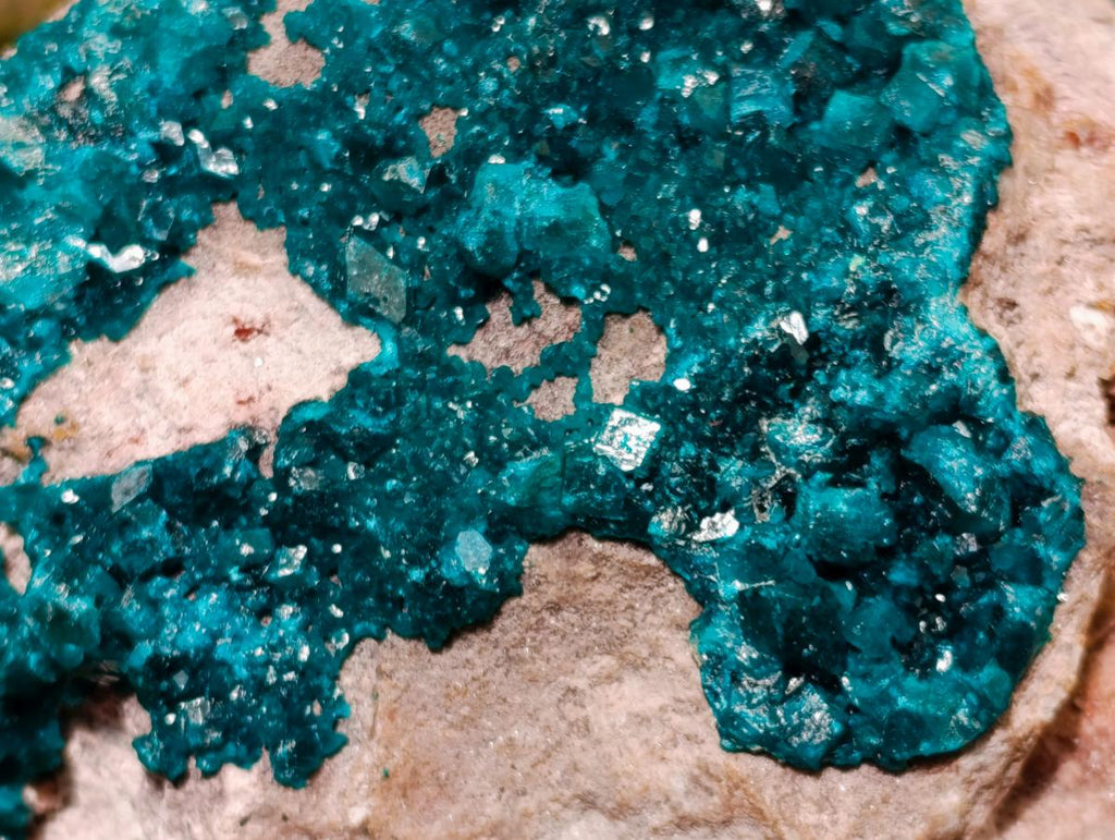 Natural Extra Large Dioptase on Dolomite Specimen x 1 From Likasi, Congo - Toprock Gemstones and Minerals 