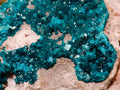 Natural Extra Large Dioptase on Dolomite Specimen x 1 From Likasi, Congo - Toprock Gemstones and Minerals 