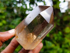 Polished Mix of Clear and Smokey Quartz Crystals x 6 From Madagascar - Toprock Gemstones and Minerals 