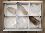 Polished Mix of Clear and Smokey Quartz Crystals x 6 From Madagascar - Toprock Gemstones and Minerals 
