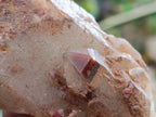 Natural Red Hematoid Quartz Crystal Clusters x 6 From Karoi, Zimbabwe - Toprock Gemstones and Minerals 
