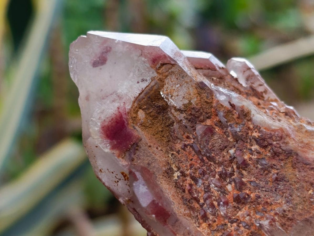 Natural Red Hematoid Quartz Crystal Clusters x 6 From Karoi, Zimbabwe - Toprock Gemstones and Minerals 