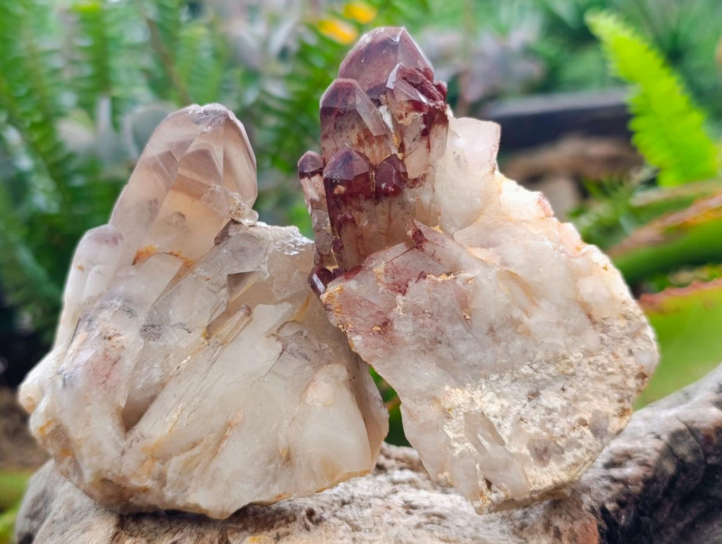Natural Red Hematoid Quartz Crystal Clusters x 6 From Karoi, Zimbabwe - Toprock Gemstones and Minerals 