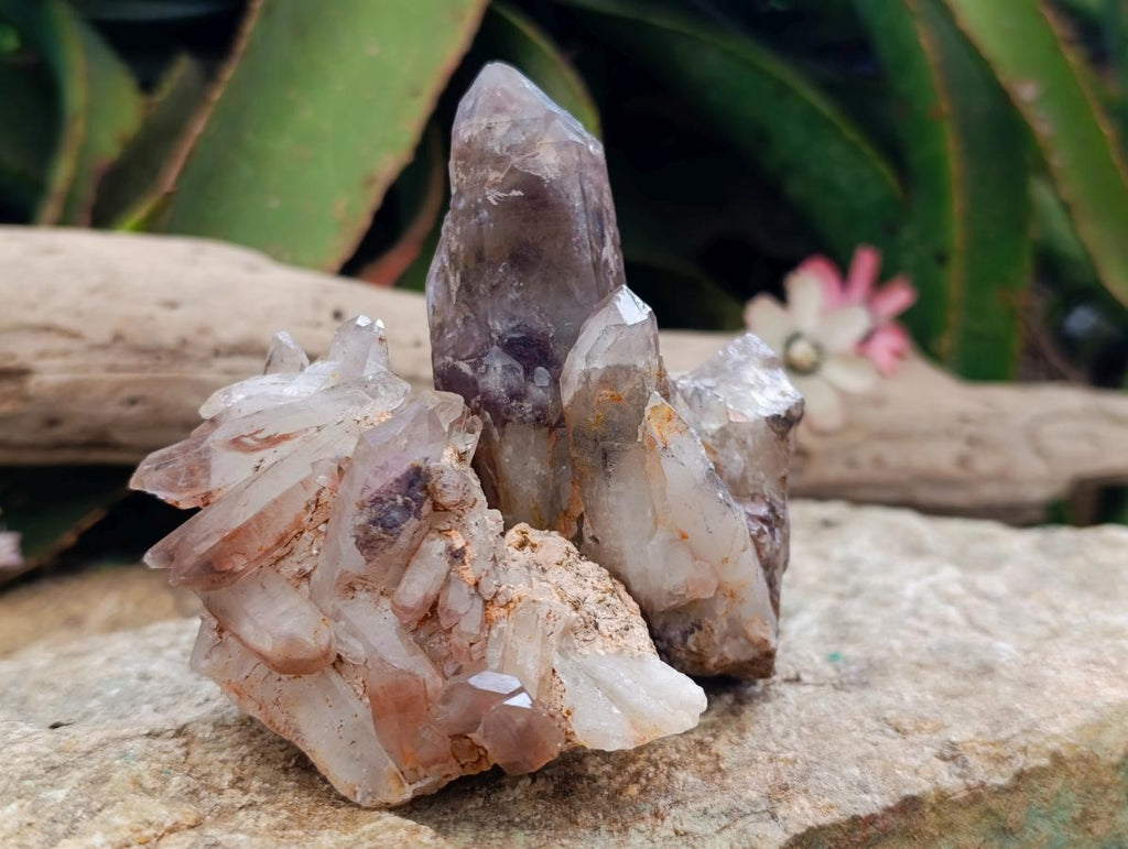 Natural Red Hematoid Quartz Crystal Clusters x 6 From Karoi, Zimbabwe - Toprock Gemstones and Minerals 