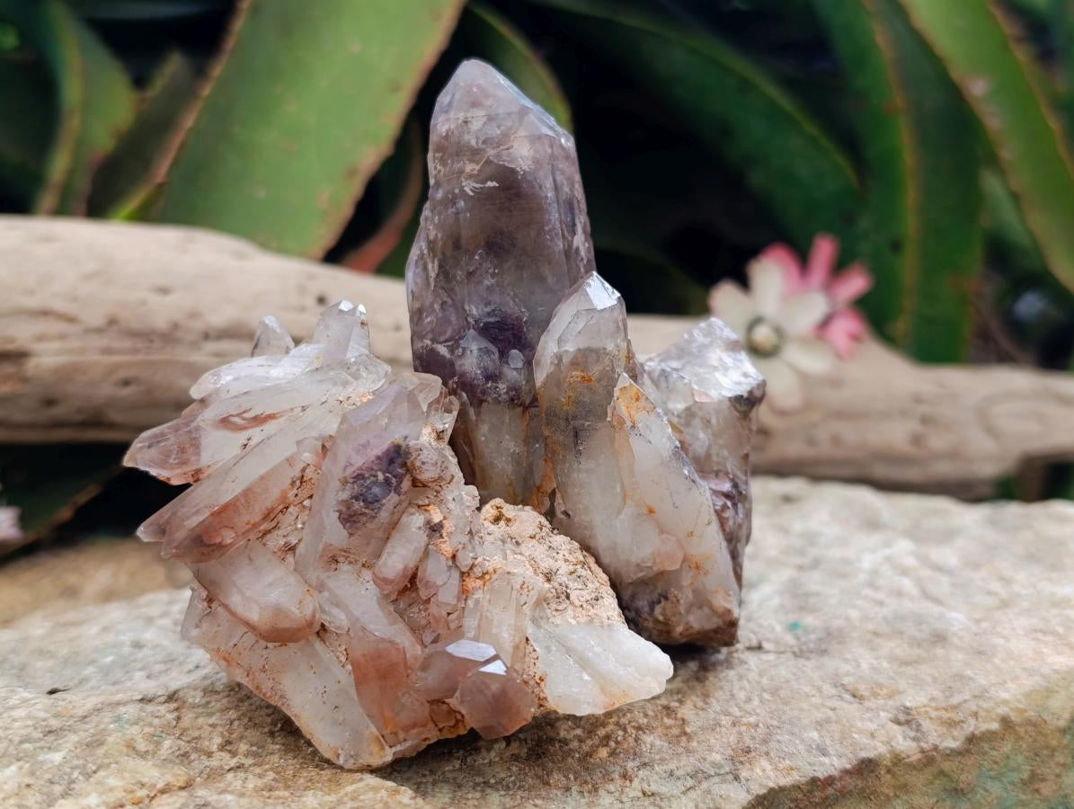 Natural Red Hematoid Quartz Crystal Clusters x 6 From Karoi, Zimbabwe - Toprock Gemstones and Minerals 