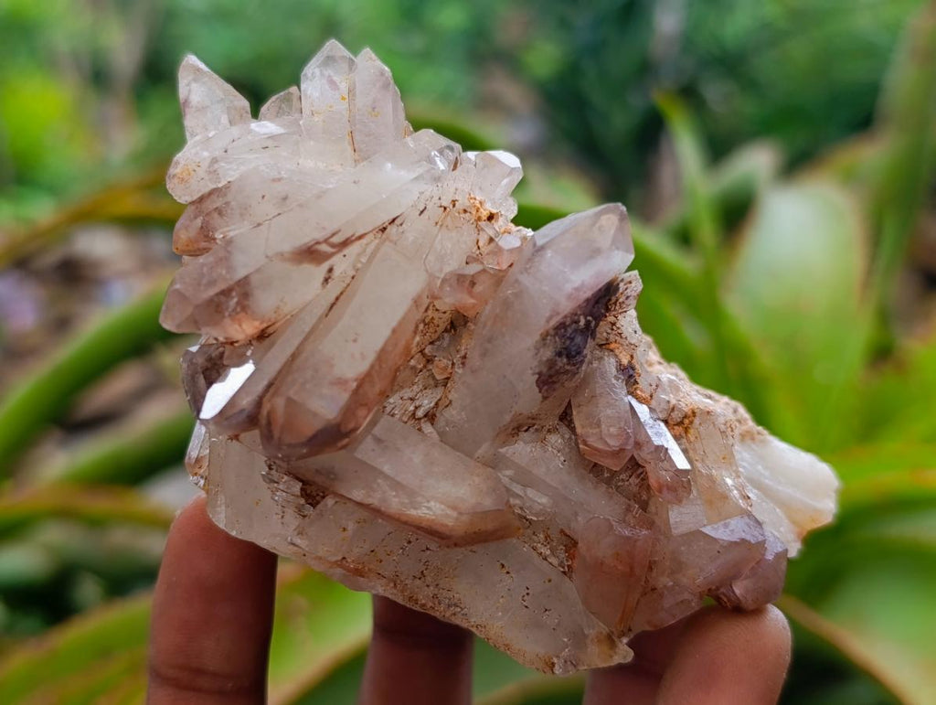 Natural Red Hematoid Quartz Crystal Clusters x 6 From Karoi, Zimbabwe - Toprock Gemstones and Minerals 