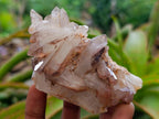Natural Red Hematoid Quartz Crystal Clusters x 6 From Karoi, Zimbabwe - Toprock Gemstones and Minerals 