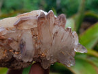 Natural Red Hematoid Quartz Crystal Clusters x 6 From Karoi, Zimbabwe - Toprock Gemstones and Minerals 