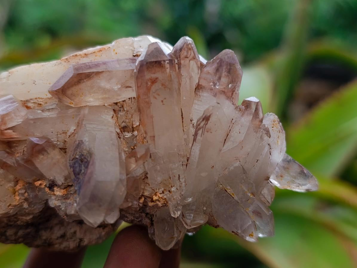 Natural Red Hematoid Quartz Crystal Clusters x 6 From Karoi, Zimbabwe - Toprock Gemstones and Minerals 