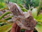 Natural Red Hematoid Quartz Crystal Clusters x 6 From Karoi, Zimbabwe - Toprock Gemstones and Minerals 