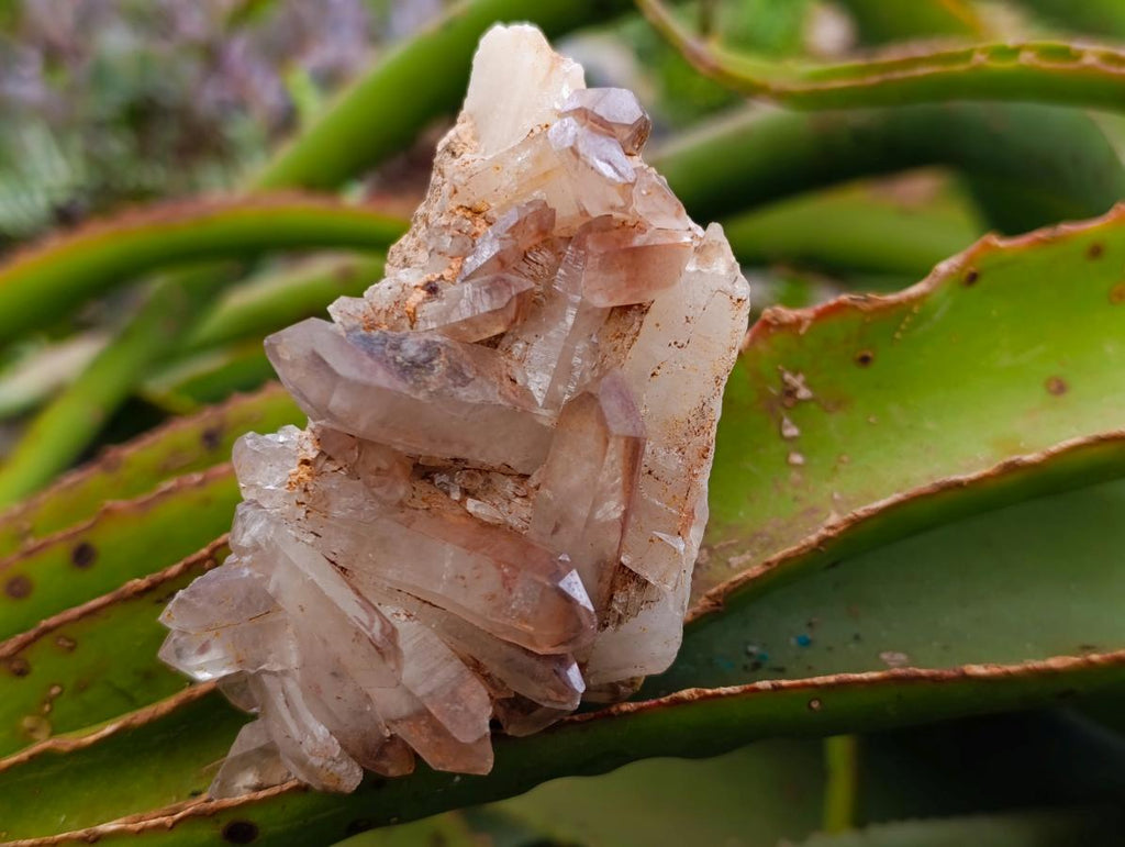 Natural Red Hematoid Quartz Crystal Clusters x 6 From Karoi, Zimbabwe - Toprock Gemstones and Minerals 