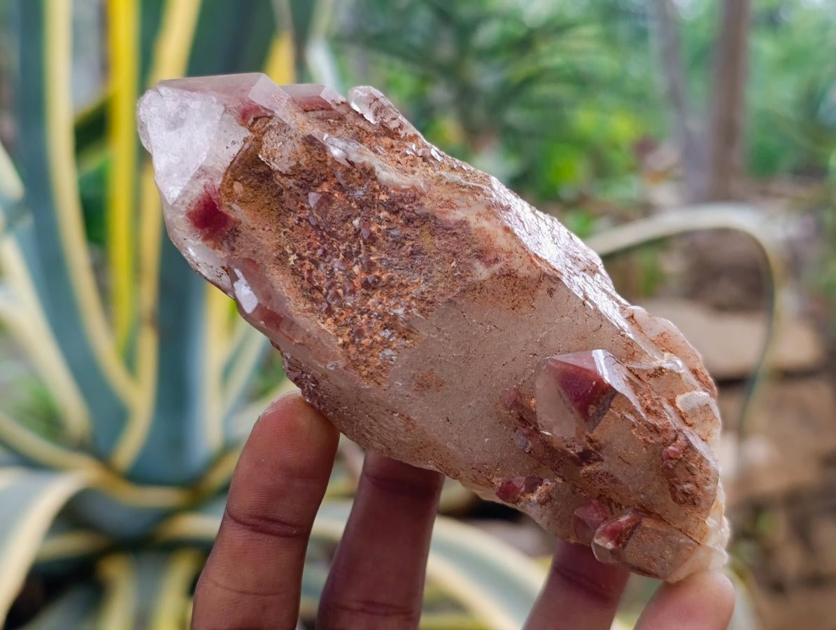 Natural Red Hematoid Quartz Crystal Clusters x 6 From Karoi, Zimbabwe - Toprock Gemstones and Minerals 