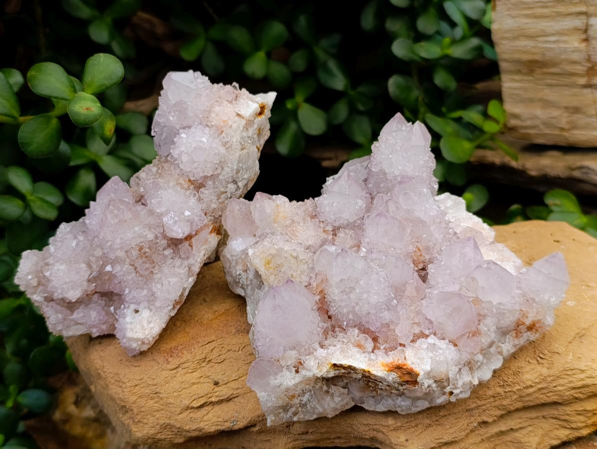Natural Lilac Spirit Amethyst Clusters x 3 From Boekenhouthoek, South Africa - Toprock Gemstones and Minerals 