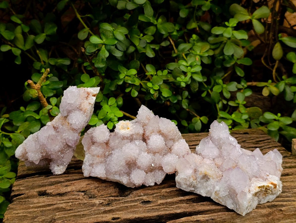 Natural Lilac Spirit Amethyst Clusters x 3 From Boekenhouthoek, South Africa - Toprock Gemstones and Minerals 