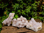 Natural Lilac Spirit Amethyst Clusters x 3 From Boekenhouthoek, South Africa - Toprock Gemstones and Minerals 