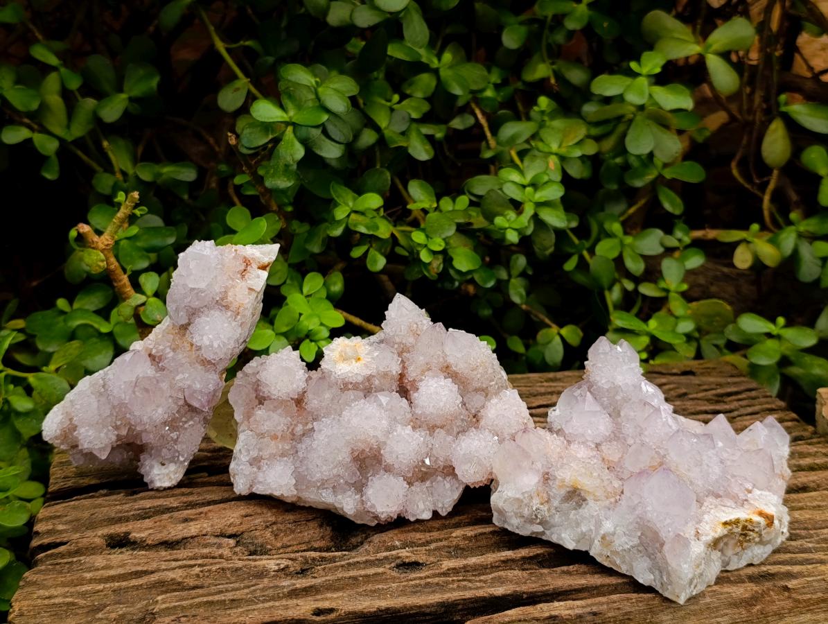 Natural Lilac Spirit Amethyst Clusters x 3 From Boekenhouthoek, South Africa - Toprock Gemstones and Minerals 