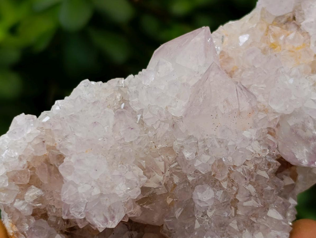 Natural Lilac Spirit Amethyst Clusters x 3 From Boekenhouthoek, South Africa - Toprock Gemstones and Minerals 