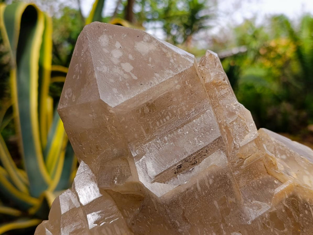 Natural XL Stepped Skeletal Multi-Terminated Quartz Cluster x 1 From Ambatofinandrahana, Madagascar - Toprock Gemstones and Minerals 