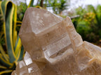 Natural XL Stepped Skeletal Multi-Terminated Quartz Cluster x 1 From Ambatofinandrahana, Madagascar - Toprock Gemstones and Minerals 