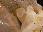 Natural XL Stepped Skeletal Multi-Terminated Quartz Cluster x 1 From Ambatofinandrahana, Madagascar - Toprock Gemstones and Minerals 