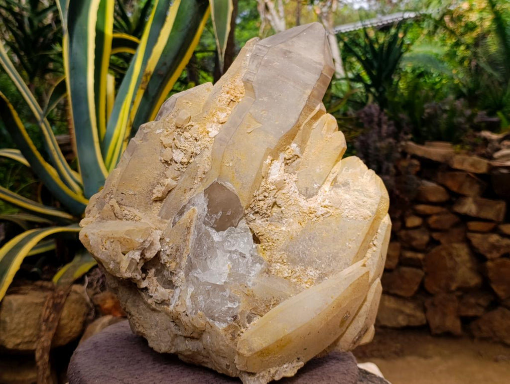 Natural XL Stepped Skeletal Multi-Terminated Quartz Cluster x 1 From Ambatofinandrahana, Madagascar - Toprock Gemstones and Minerals 