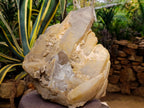 Natural XL Stepped Skeletal Multi-Terminated Quartz Cluster x 1 From Ambatofinandrahana, Madagascar - Toprock Gemstones and Minerals 