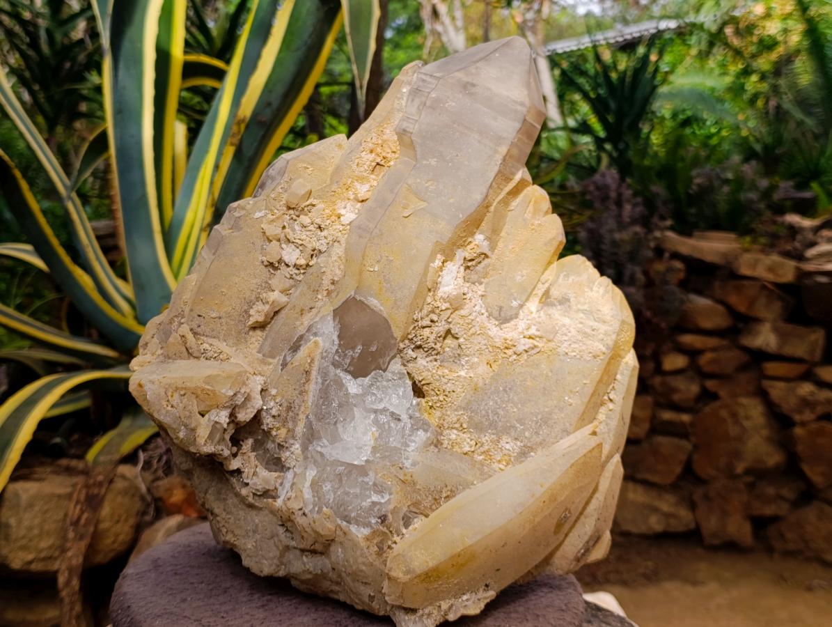 Natural XL Stepped Skeletal Multi-Terminated Quartz Cluster x 1 From Ambatofinandrahana, Madagascar - Toprock Gemstones and Minerals 