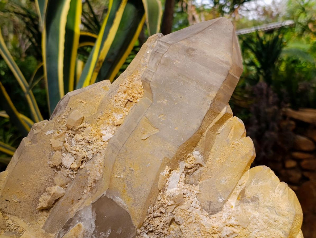 Natural XL Stepped Skeletal Multi-Terminated Quartz Cluster x 1 From Ambatofinandrahana, Madagascar - Toprock Gemstones and Minerals 