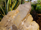 Natural XL Stepped Skeletal Multi-Terminated Quartz Cluster x 1 From Ambatofinandrahana, Madagascar - Toprock Gemstones and Minerals 