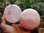 Polished Gemmy Star Rose Quartz Spheres x 2 From Madagascar - Toprock Gemstones and Minerals 
