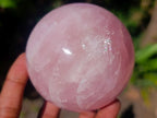 Polished Gemmy Star Rose Quartz Spheres x 2 From Madagascar - Toprock Gemstones and Minerals 