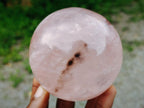 Polished Gemmy Star Rose Quartz Spheres x 2 From Madagascar - Toprock Gemstones and Minerals 