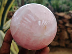 Polished Gemmy Star Rose Quartz Spheres x 2 From Madagascar - Toprock Gemstones and Minerals 