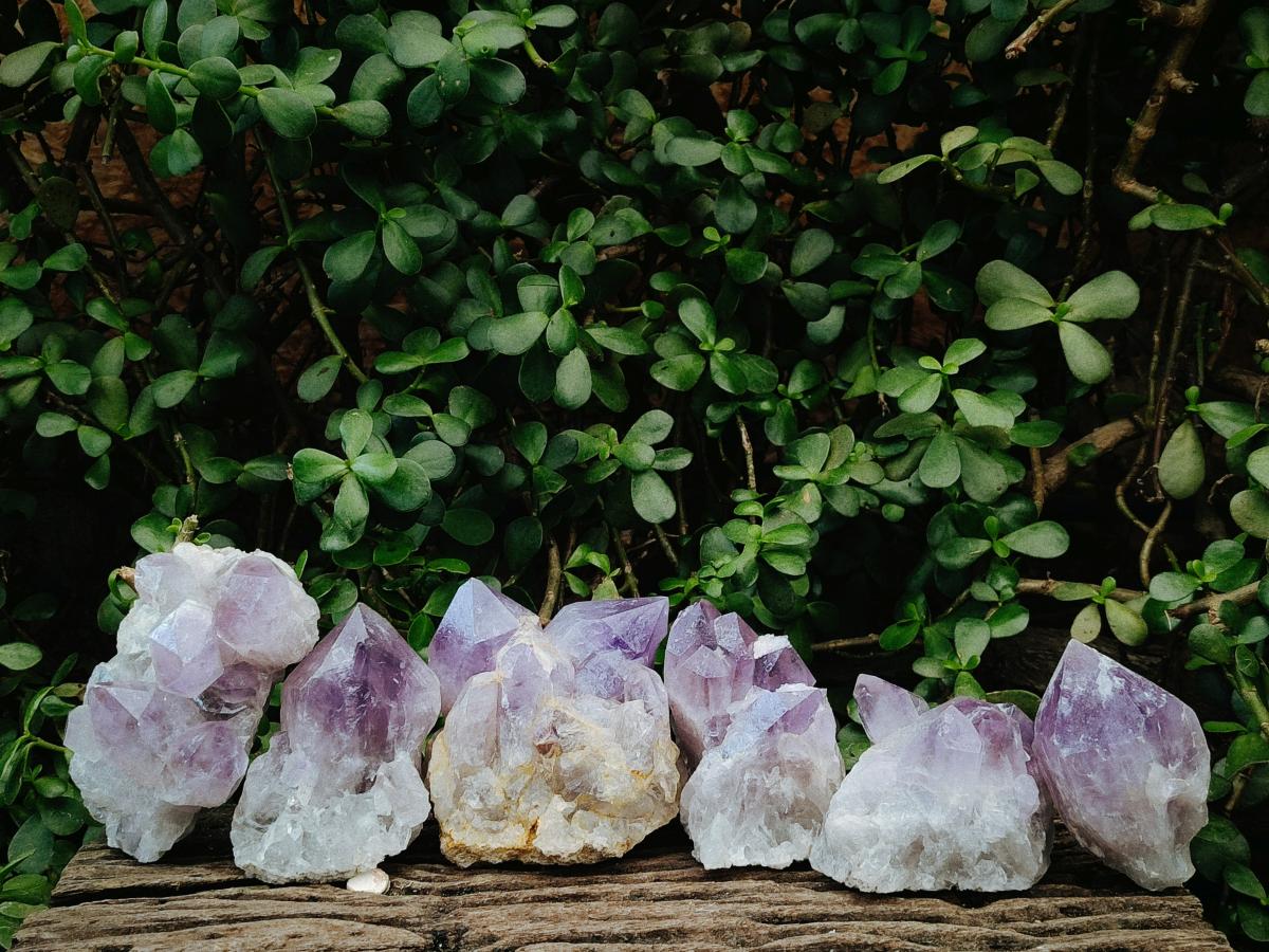Natural Jacaranda Amethyst Crystals and Clusters x 6 From Mumbwa, Zambia - Toprock Gemstones and Minerals 