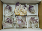 Natural Jacaranda Amethyst Crystals and Clusters x 6 From Mumbwa, Zambia - Toprock Gemstones and Minerals 