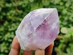 Natural Jacaranda Amethyst Crystals and Clusters x 6 From Mumbwa, Zambia - Toprock Gemstones and Minerals 