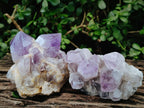 Natural Jacaranda Amethyst Crystals and Clusters x 6 From Mumbwa, Zambia - Toprock Gemstones and Minerals 